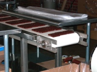 1oz chocolate molds.jpg